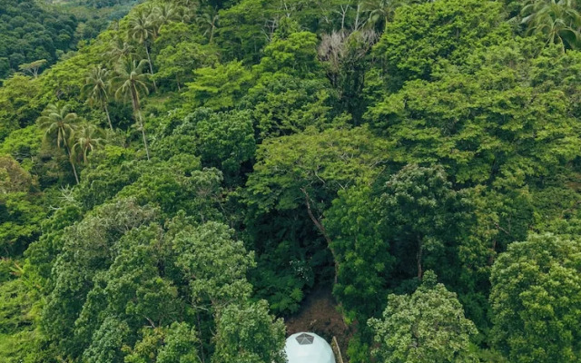 Matahom Forest Glamping Tent 2