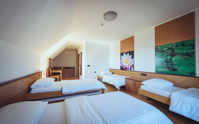 Pohorje Village Wellbeing Resort – Forest Apartments Videc