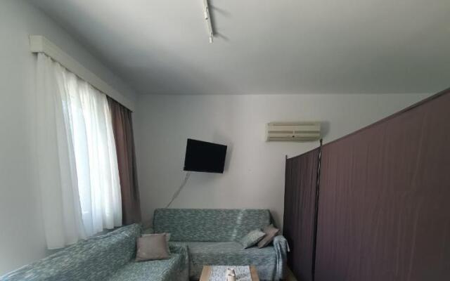 Vivis house