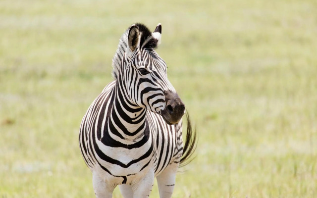 Stonehaven Lodge and Conference Center