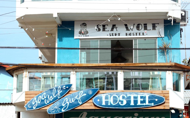 Sea Wolf Surf Club - Hostel