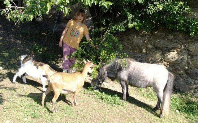 Ferienwohnung am Oberrainerhof