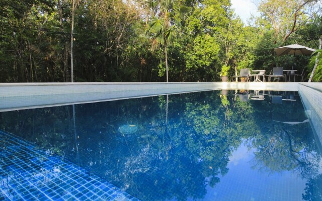 Lote 49