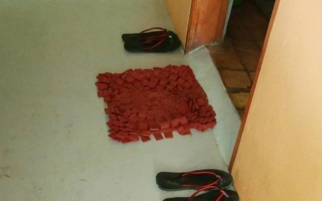 Songbird safari lodge