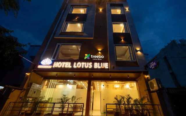 Treebo Lotus Blue
