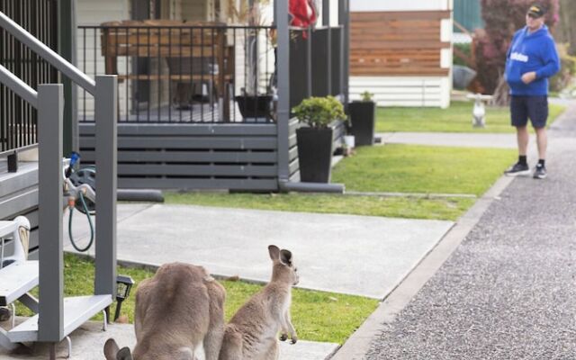 Reflections North Haven - Holiday Park