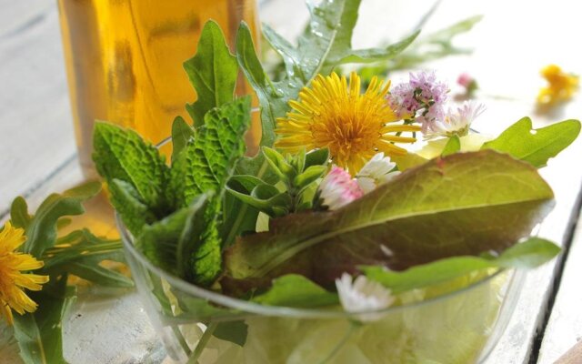 Appartmentanlage Zur Düne