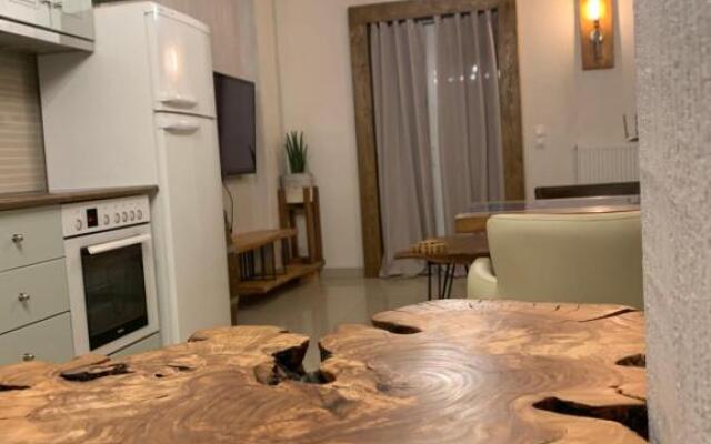 The modern rustic house in the heart Of the village