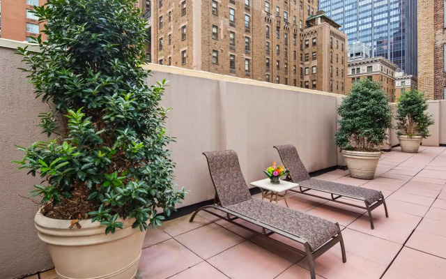 Отель The Bayard