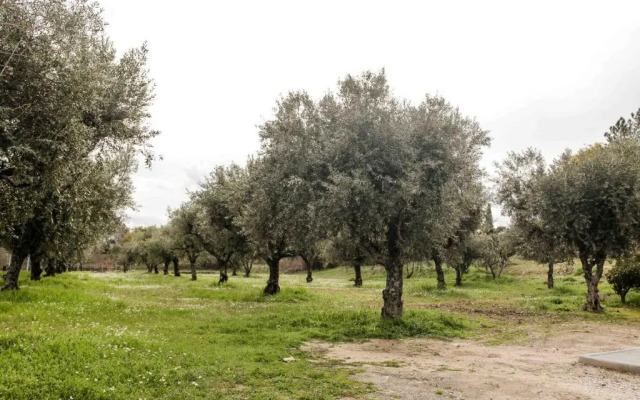 Quinta Chão do Nabal