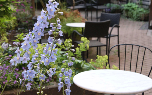 Best Western Hotell Ljungby