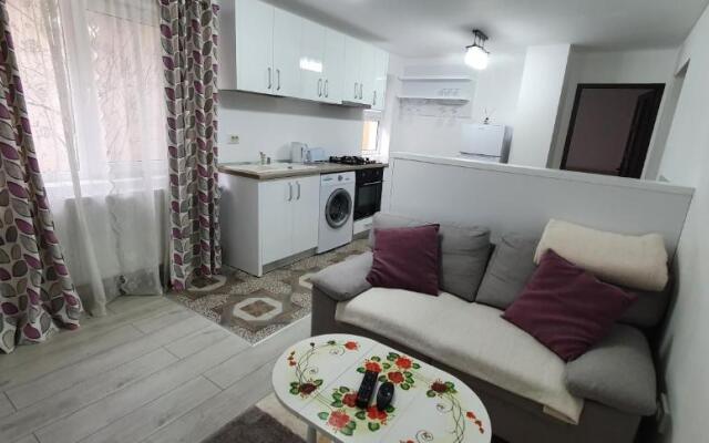 Nehoiu apartament