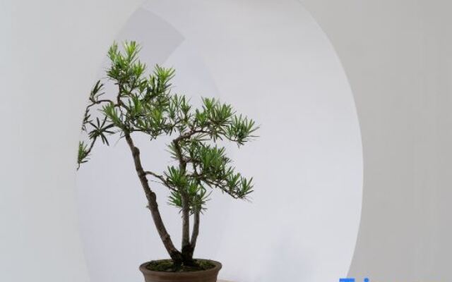 Yueshan Shuishe Hostel