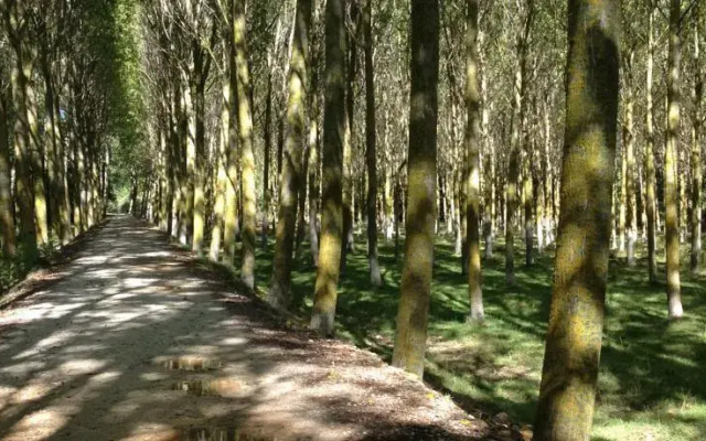 Casa de Valle Saldana