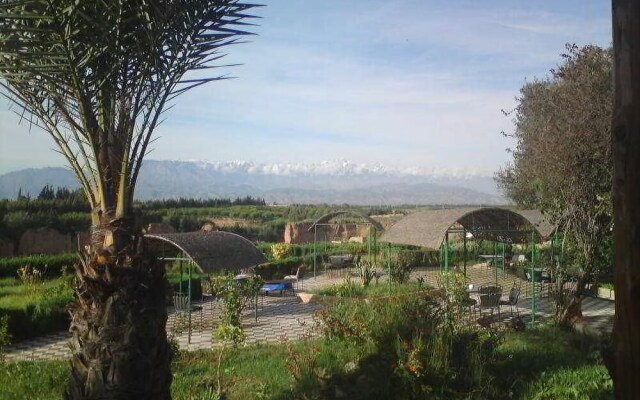 Riad Elaissi