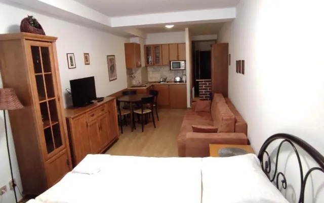 Studio apartman Tatran A-29