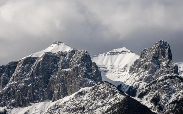 The Norquay, Pet-Friendly 2 Bed with Mtn View