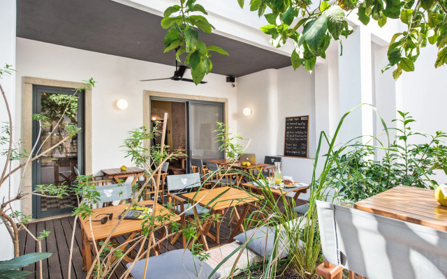 Lemon Tree Stay