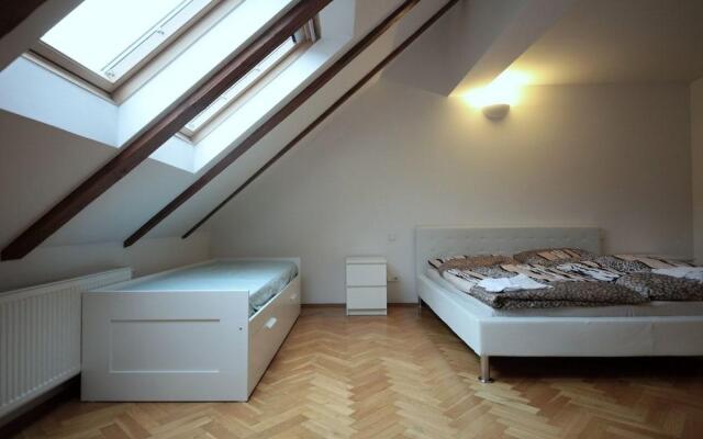 Generous Attic Apartment