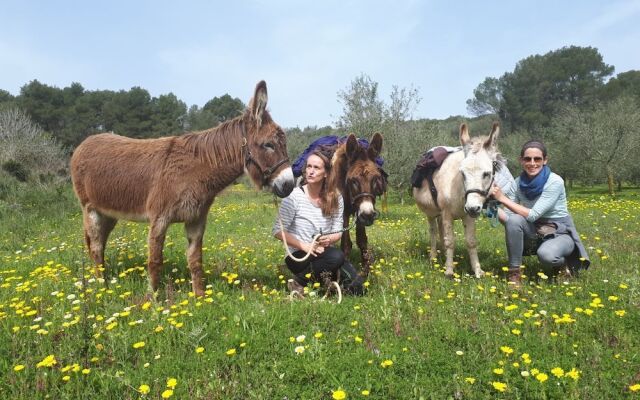 Finca Can Paulino