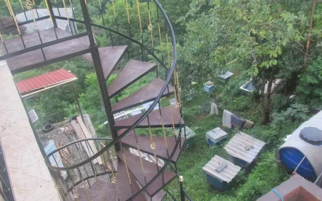 Giorgis Guest House Kobuleti