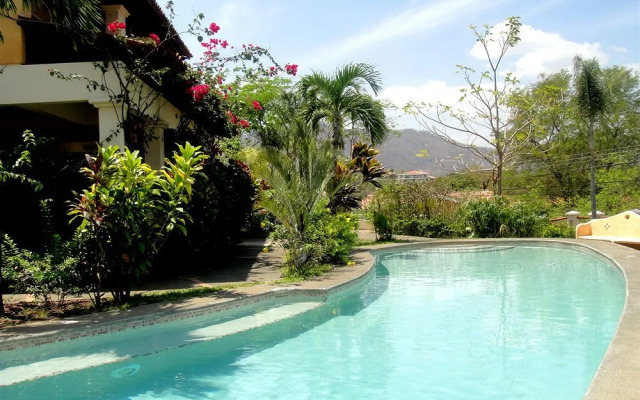 Tropical Gardens