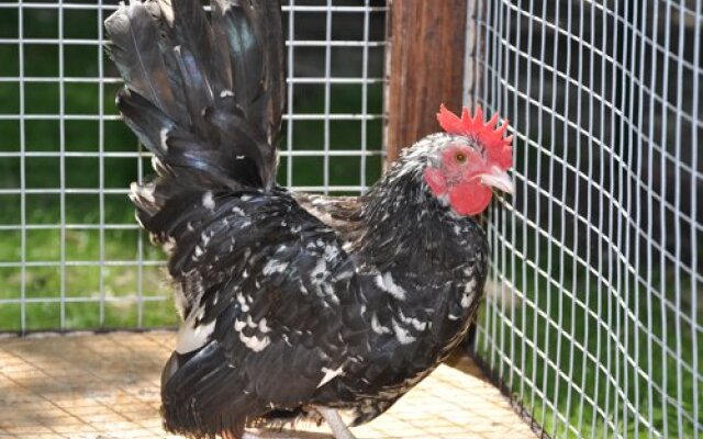 Boutique Otel SPA-Center restaurant Spa