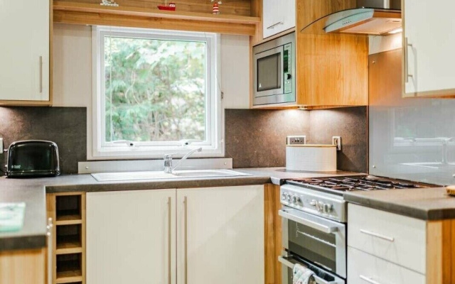 Sea Squirrel - Kelling Heath Holiday Park - 15856