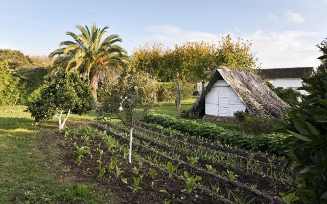 Alojamientos Rurales Cuevas del Pino