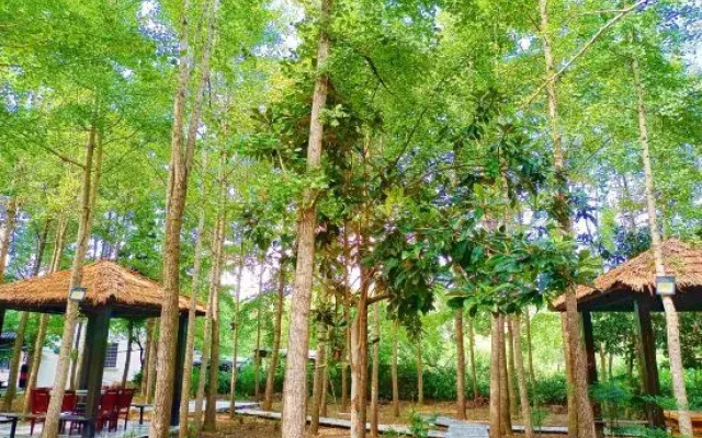 Xinyang Pingqiao Smile Inn