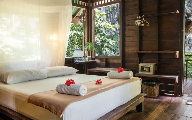 Our Jungle House