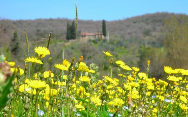 Allegro Agriturismo Argiano