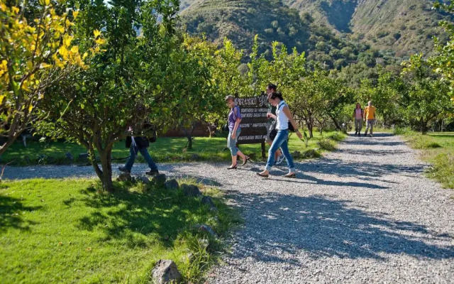 Glamping Alcantara