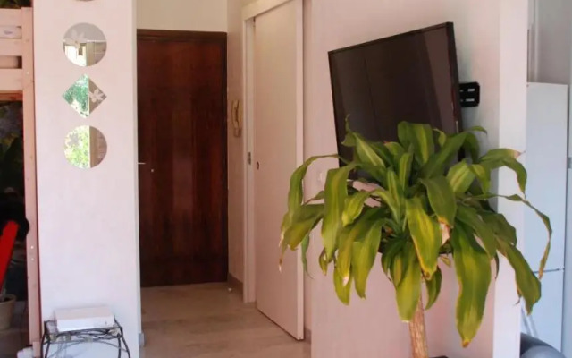 Studio - Juan les pins - proximité plages