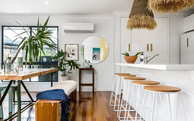 Bangalow Palms
