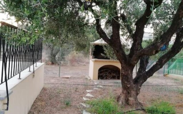 Olive grove with sea view, 20' walk to the beach