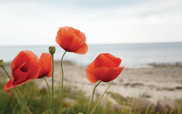 Holiday home Seehund