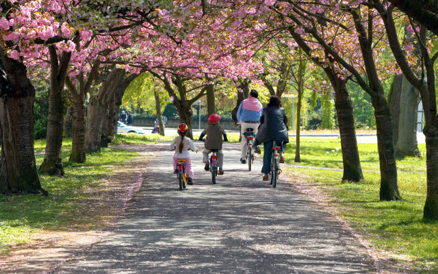 Boutique Suites and Residences Heidelberg – Alte Zigarrenmanufaktur