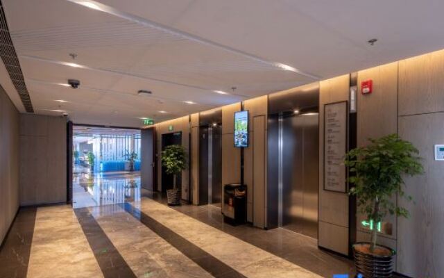 Stargale's Collection