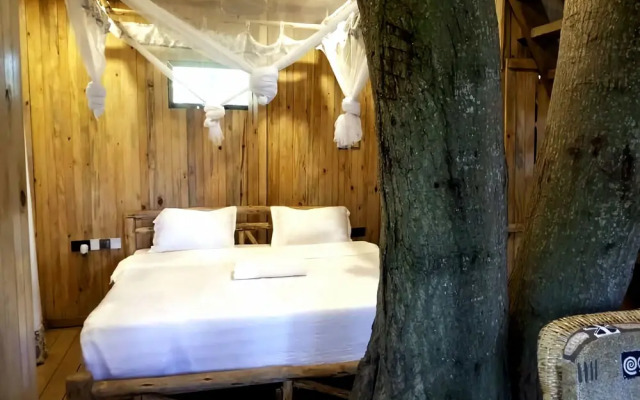 Tree House with a Pool