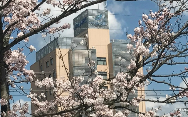 Hotel Bellmare