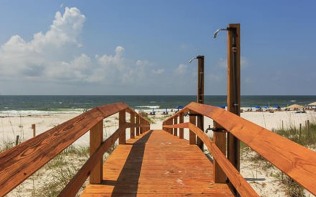 Summer Salt by Youngs Suncoast