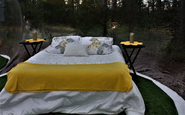 Woodhouse Cottages and Ranch