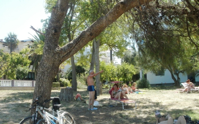 Room Aleksandra - 10 m from sea: R7 Bibinje, Zadar riviera
