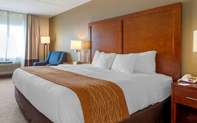 Comfort Inn & Suites Wilkes Barre - Arena