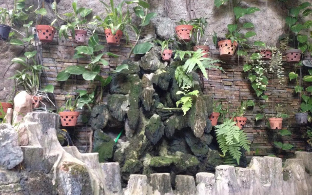 Rong Homestay