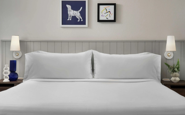 Sonesta ES Suites Chicago Downtown Magnificent Mile - Medical