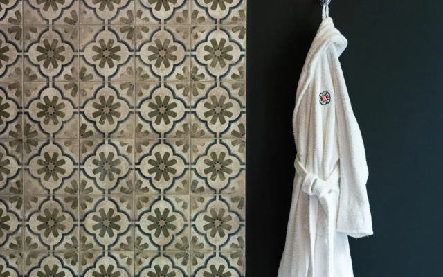 The Forest at Mount Congreve Gardens