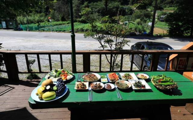 Wonju Chiak Mountain Club Pension