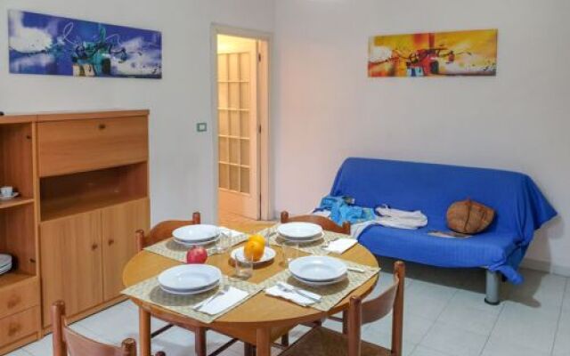 Green Marine. Palme. Ismare 17725